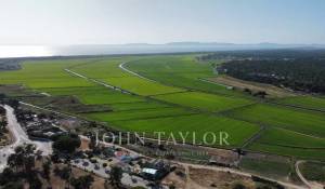 Venda Terreno Carvalhal