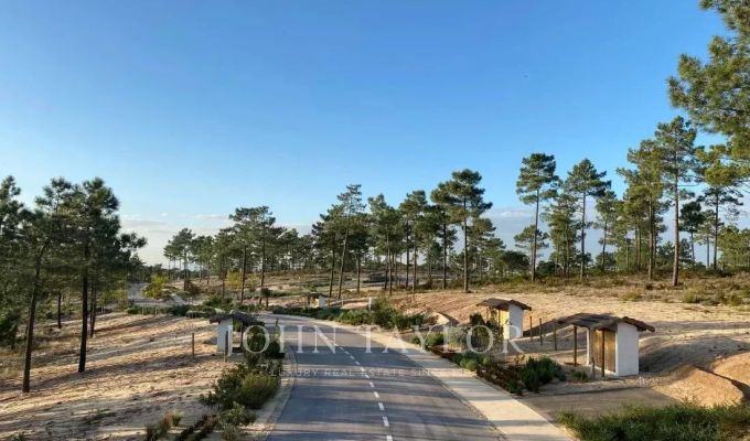 Venda Terreno Carvalhal