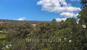 Venda Terreno Ciudalcampo