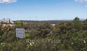 Venda Terreno Ciudalcampo