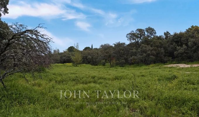 Venda Terreno Ciudalcampo