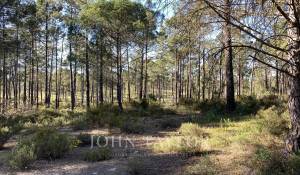 Venda Terreno Comporta