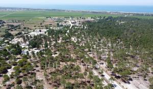 Venda Terreno Comporta