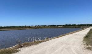 Venda Terreno Comporta