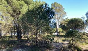 Venda Terreno Comporta