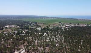 Venda Terreno Comporta