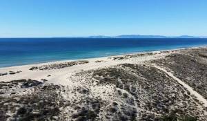 Venda Terreno Comporta