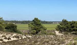 Venda Terreno Comporta