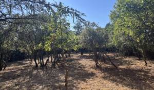 Venda Terreno construtível Cabrières-d'Avignon