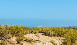 Venda Terreno construtível Essaouira