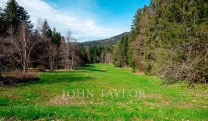 Venda Terreno construtível Les Paccots