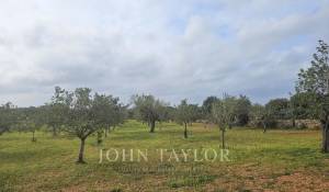 Venda Terreno construtível Llucmajor