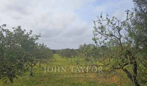 Venda Terreno construtível Llucmajor