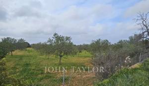 Venda Terreno construtível Llucmajor