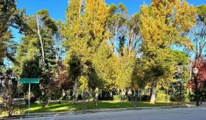 Venda Terreno construtível Madrid