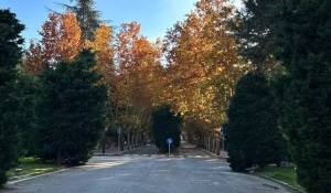 Venda Terreno construtível Madrid