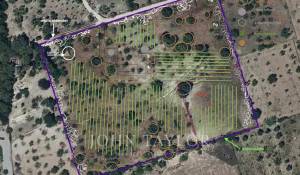 Venda Terreno construtível Moscari