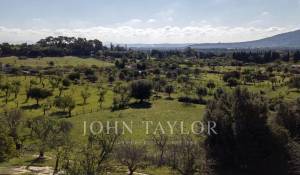 Venda Terreno construtível Moscari