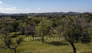 Venda Terreno construtível Moscari