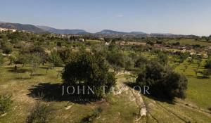 Venda Terreno construtível Moscari