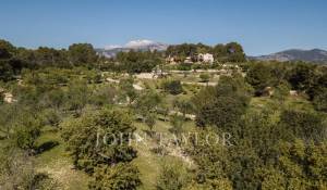 Venda Terreno construtível Moscari