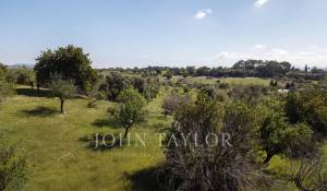 Venda Terreno construtível Moscari