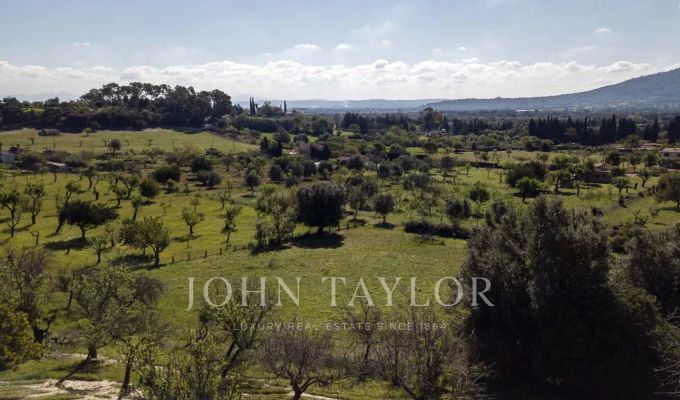 Venda Terreno construtível Moscari