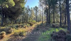 Venda Terreno Grândola e Santa Margarida da Serra