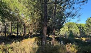 Venda Terreno Grândola e Santa Margarida da Serra