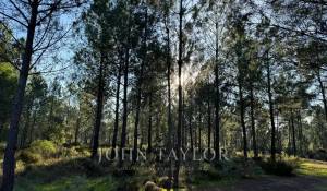 Venda Terreno Grândola e Santa Margarida da Serra