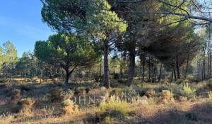 Venda Terreno Grândola e Santa Margarida da Serra