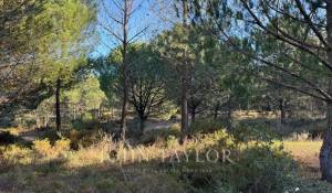 Venda Terreno Grândola e Santa Margarida da Serra