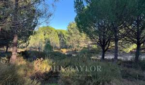 Venda Terreno Grândola e Santa Margarida da Serra