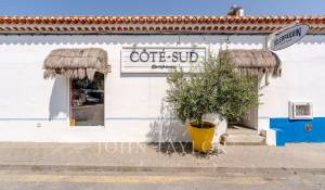 Venda Terreno Grândola e Santa Margarida da Serra