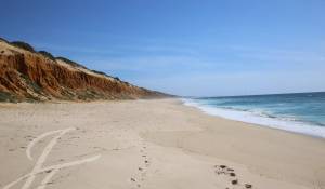 Venda Terreno Grândola e Santa Margarida da Serra
