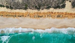 Venda Terreno Grândola e Santa Margarida da Serra