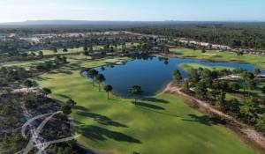 Venda Terreno Grândola e Santa Margarida da Serra