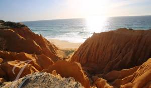 Venda Terreno Grândola e Santa Margarida da Serra