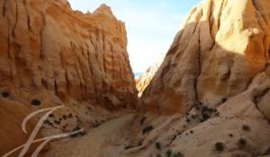 Venda Terreno Grândola e Santa Margarida da Serra