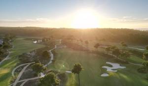 Venda Terreno Grândola e Santa Margarida da Serra