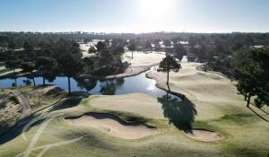 Venda Terreno Grândola e Santa Margarida da Serra
