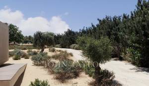 Venda Terreno Grândola e Santa Margarida da Serra