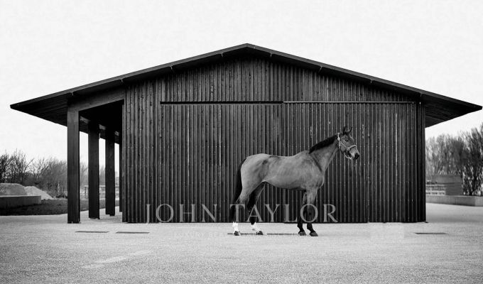 Venda Terreno Grândola e Santa Margarida da Serra