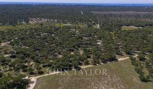 Venda Terreno Melides