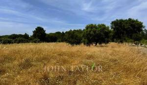 Venda Terreno Melides