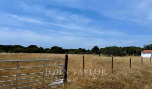 Venda Terreno Melides