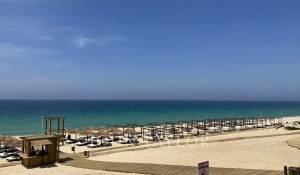 Venda Terreno Melides