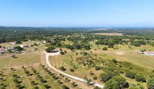 Venda Terreno Melides