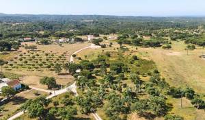 Venda Terreno Melides