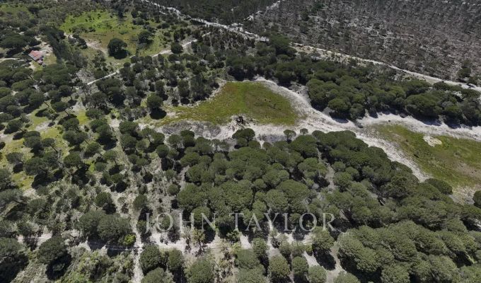 Venda Terreno Melides